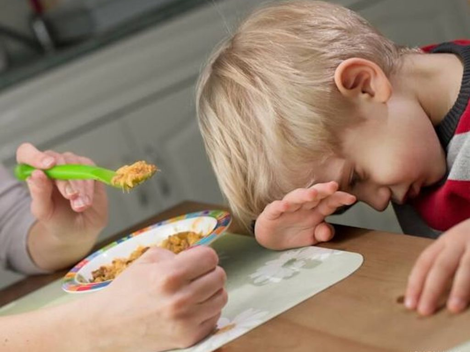 Formação em Recusa e Seletividade Alimentar Infantil: A Abordagem do Terapeuta da Fala – Nível 1 - 2023