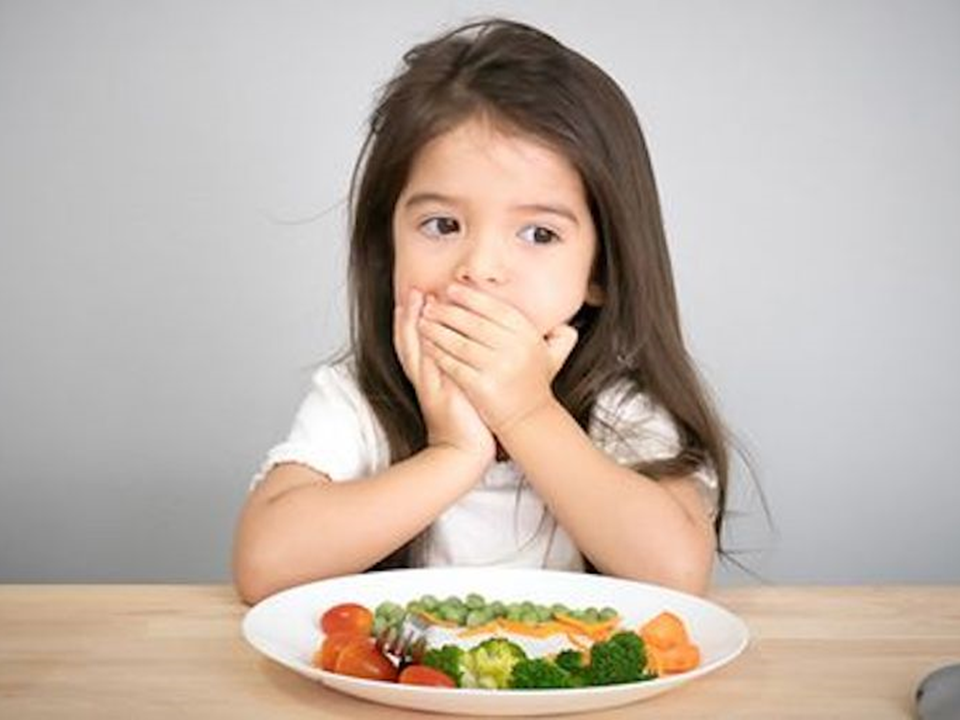 Formação Contínua - Aversão, recusa e seletividade alimentar infantil: a abordagem do Terapeuta da Fala – nível 2 - março 2024