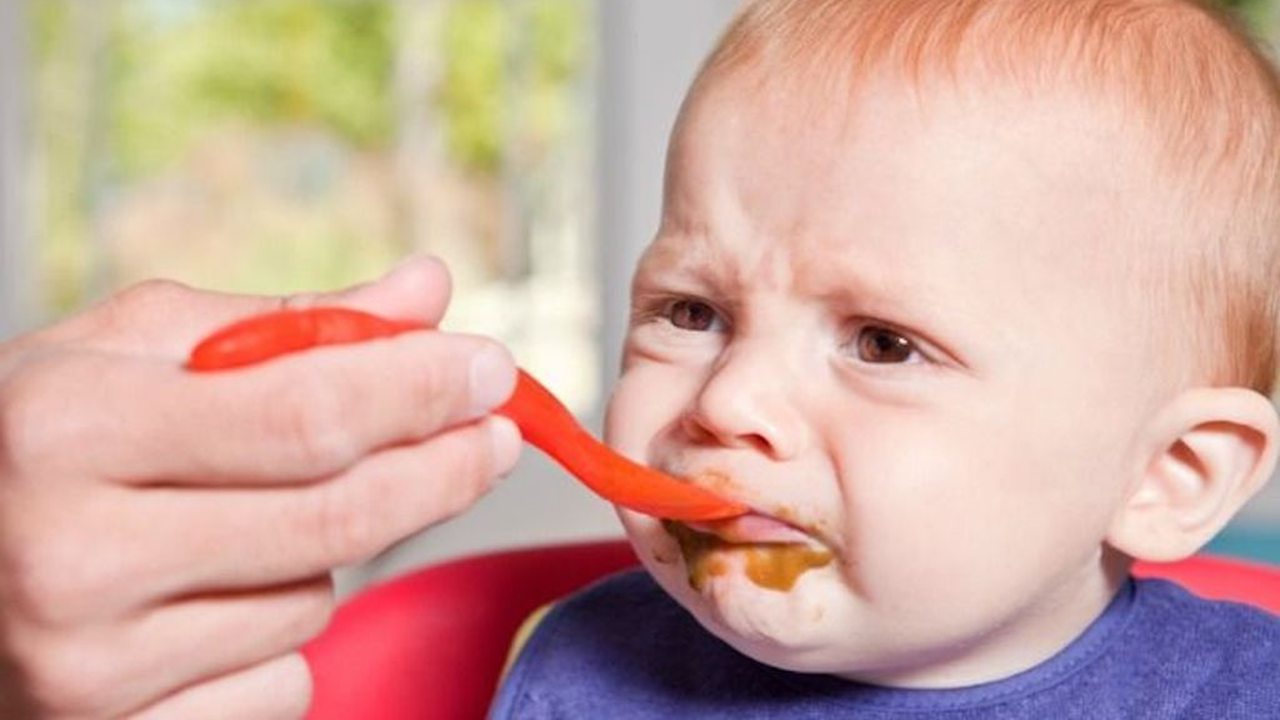Formação em Recusa e Seletividade Alimentar Infantil: A Abordagem do Terapeuta da Fala – Nível 1 - 2024